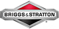 Briggs & Stratton